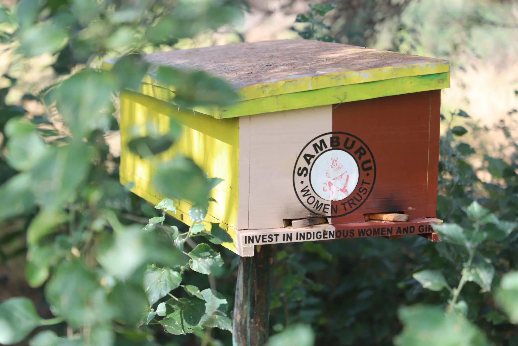Traditional beekeeping